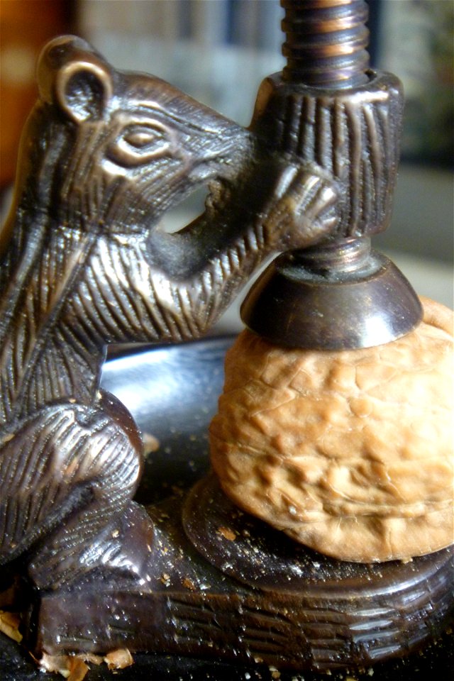 Project 365 #180: 290611 The Nutcracker? Sweet!