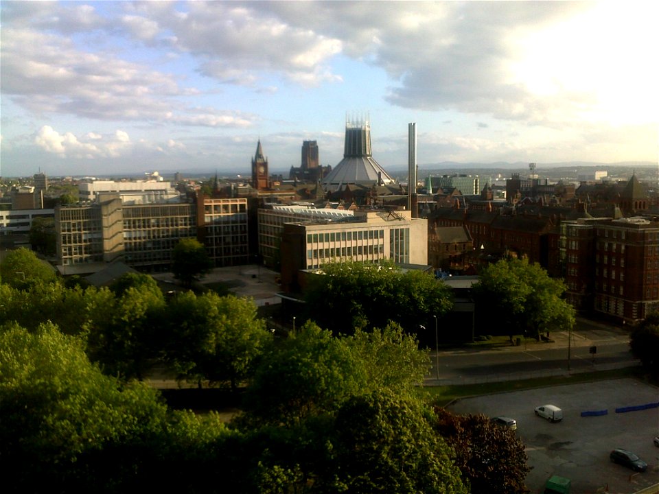 Project 365 #132: 120511 Room With A View