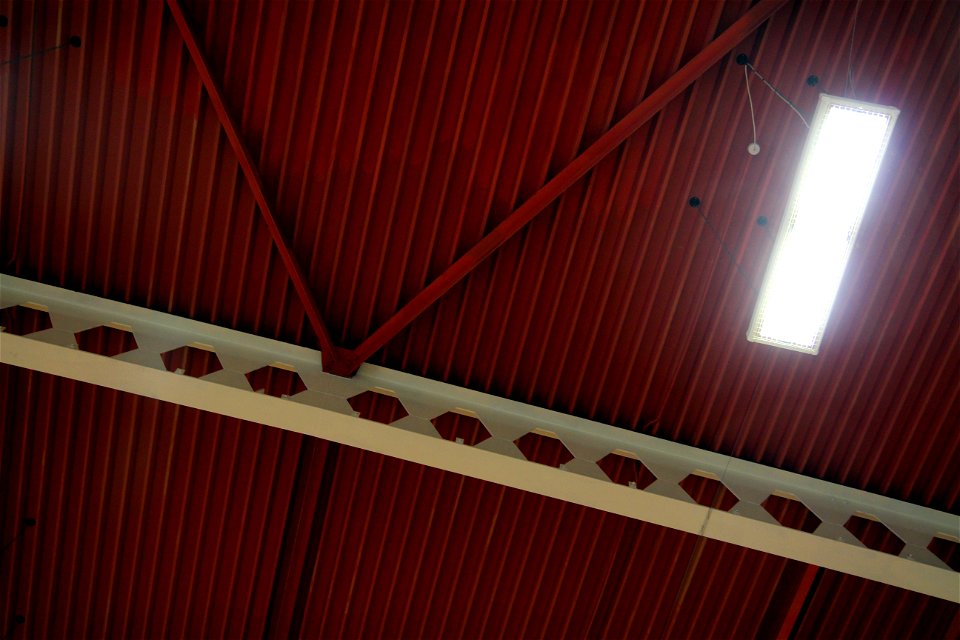 Project 366 #76: 160312 Hitting The Roof
