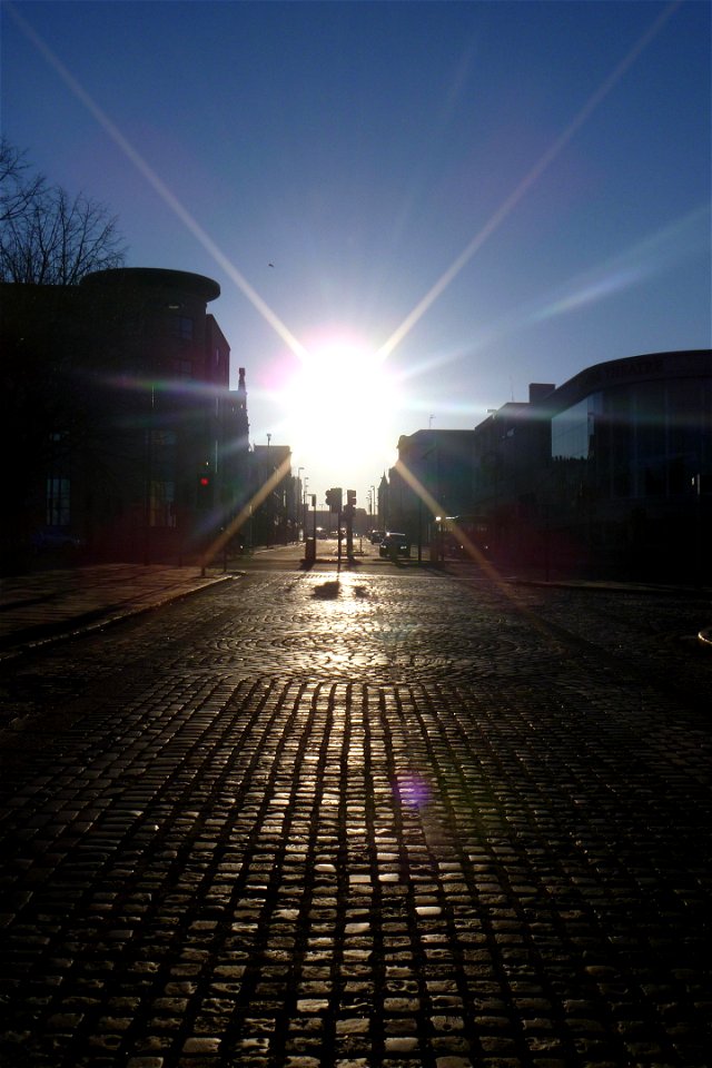 Project 365 #93: 030413 Good Day Sunshine!