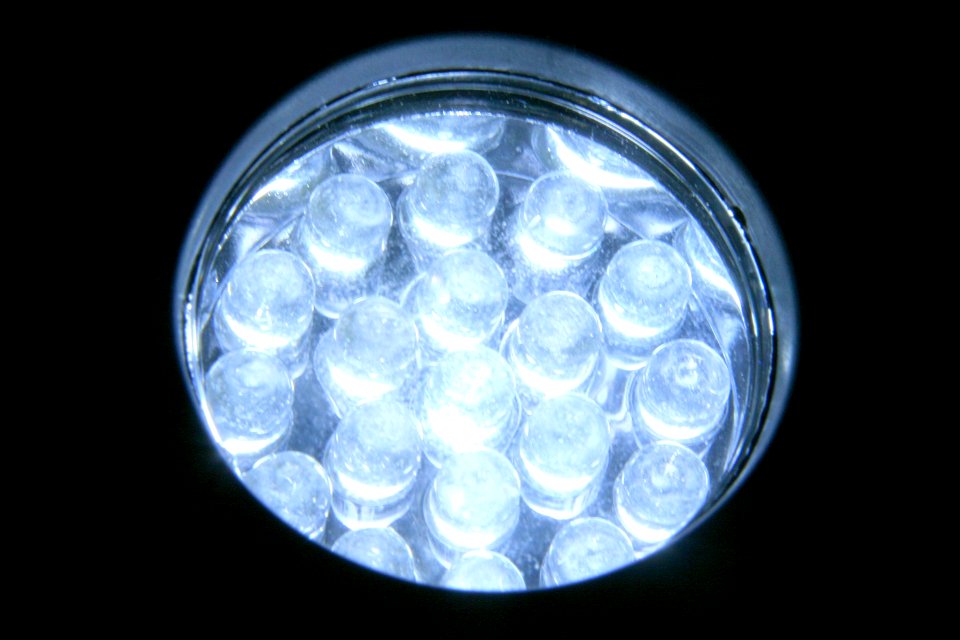 Project 365 #79: 200313 Shine Bright...