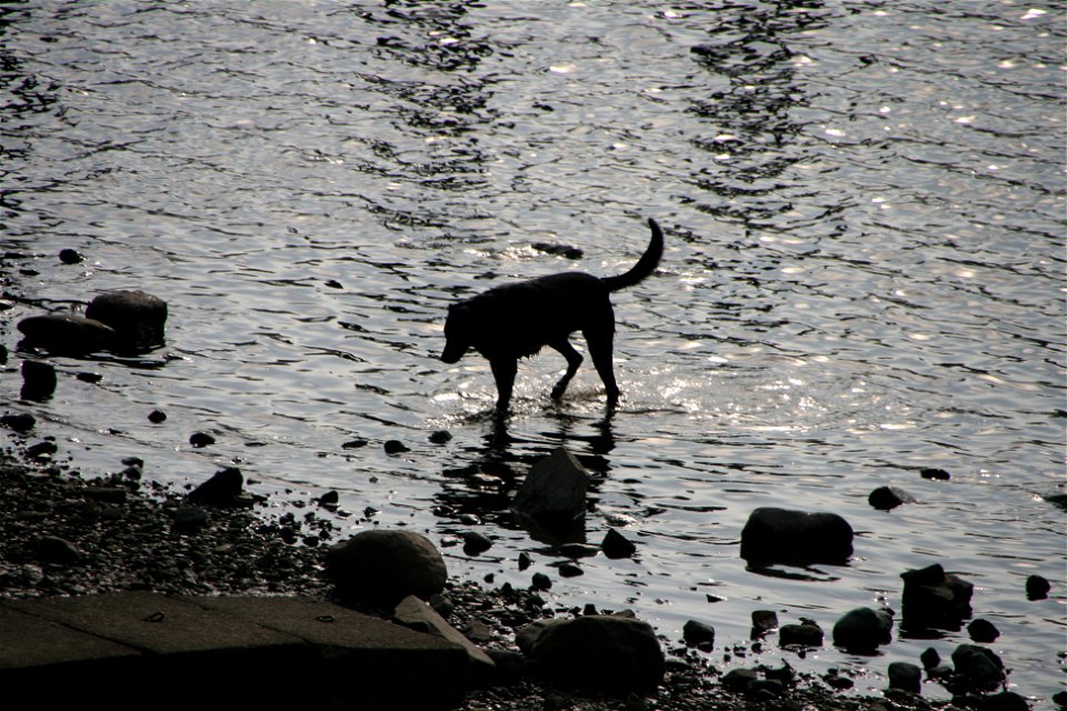 Derwent Water, Keswick