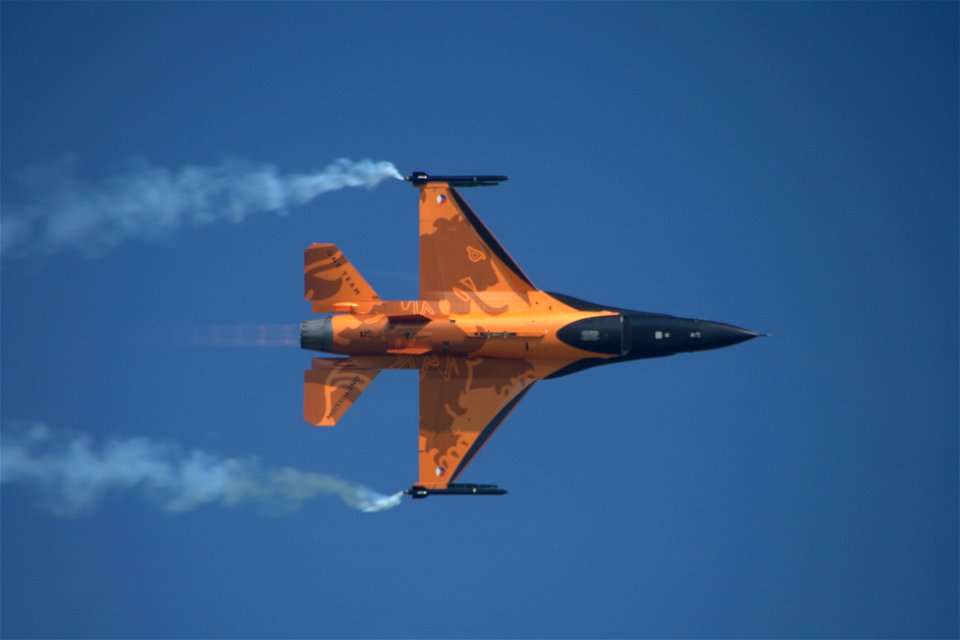Waddington 13: Roaring Lion
