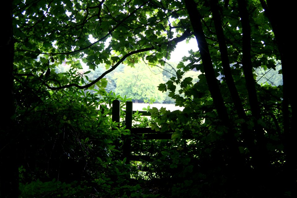 Croxteth Country Park - Through the Keyhole