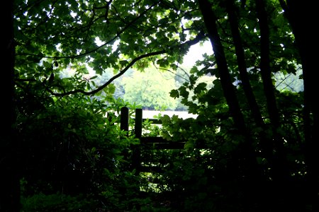 Croxteth Country Park - Through the Keyhole photo