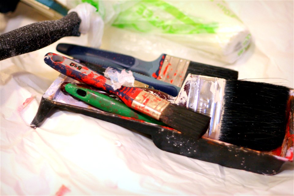 Project 366 #295: 211012 The Brush Off