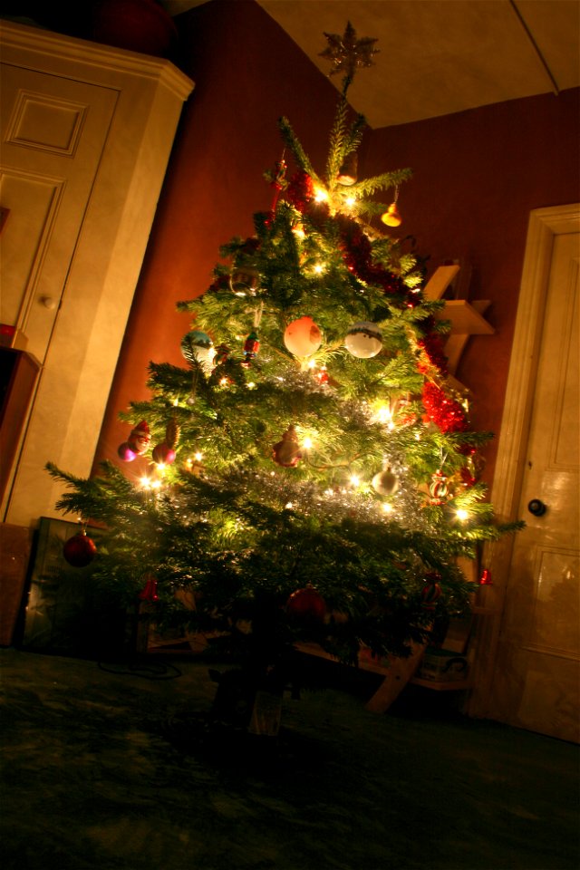 Project 366 #357: 221212 Oh Christmas Tree!