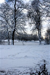 Snowy Newsham Park 7 photo