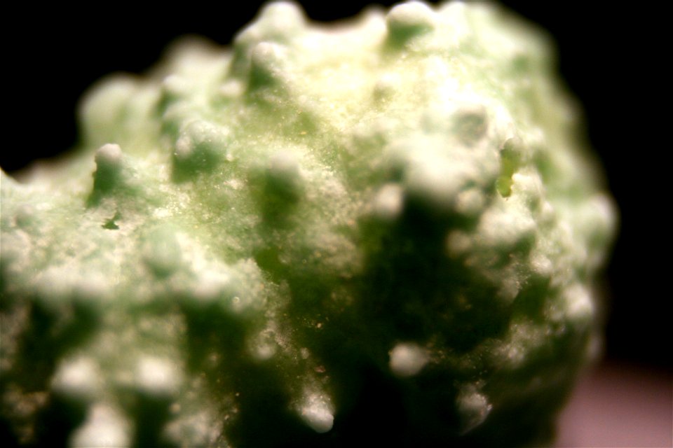 Project 365 #109: 190410 Martian Ear Wax?