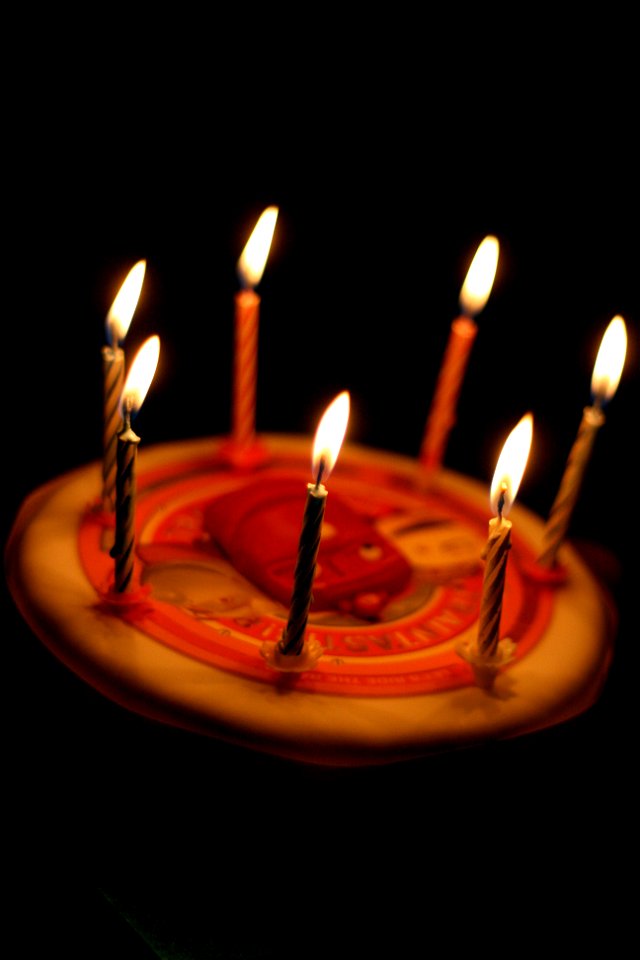 Project 365 #17: 170111 Happy Birthday Fred!