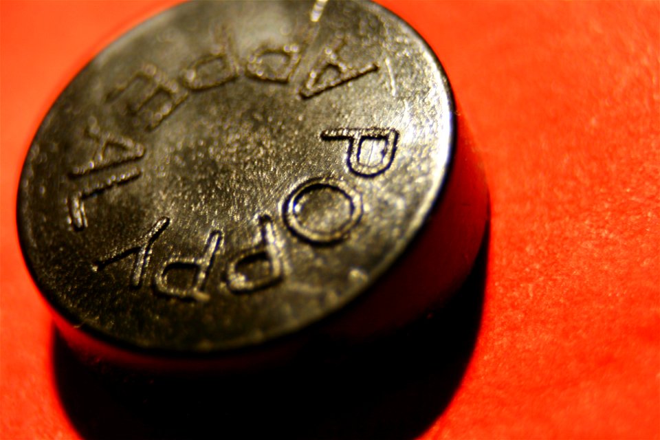 Project 365 #315: 111110 Lest We Forget