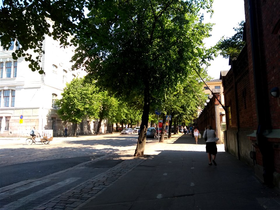 The Broad Avenues