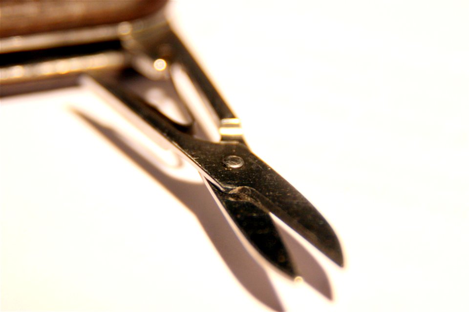 Project 365 #234: 220810 Another Snip