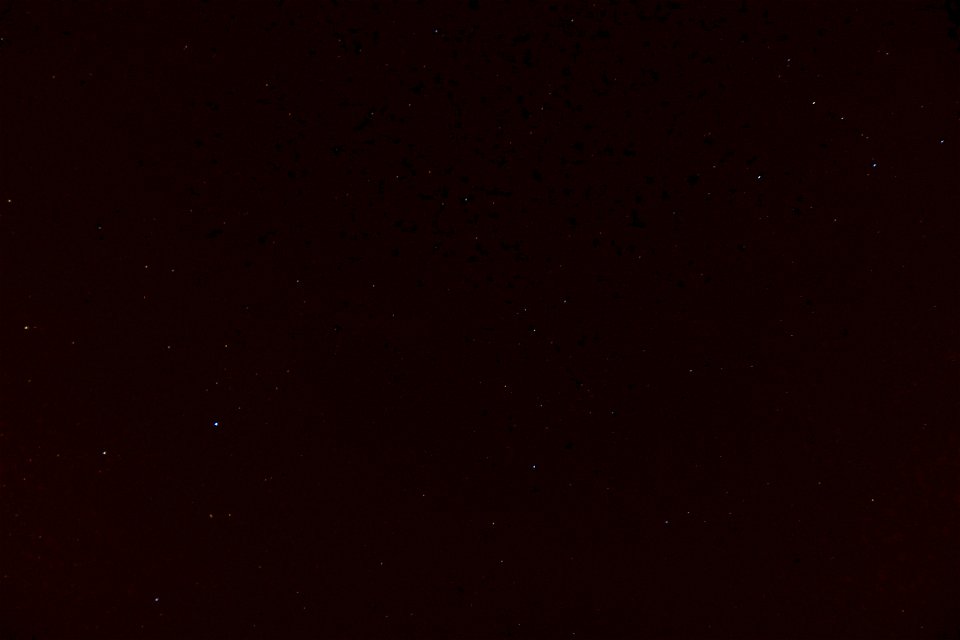 Project 365 #331: 271111 Seeing Stars?