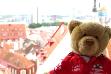 Lingy the Bear Hits Tallinn! photo