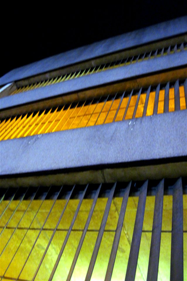 Project 365 #295: 221010 Concrete Jungle