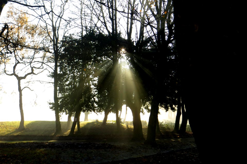Beautiful Light #2