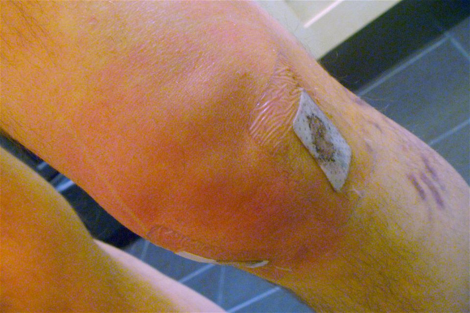 Project 366 #282: 081012 Fat Joint