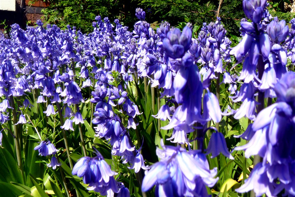 Project 365 #131: 110513 Feeling Blue Again