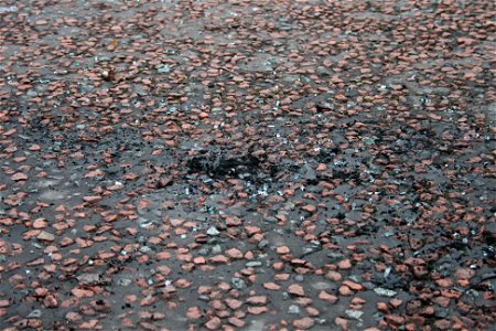 Project 365 #3: 030111 Scorched Earth