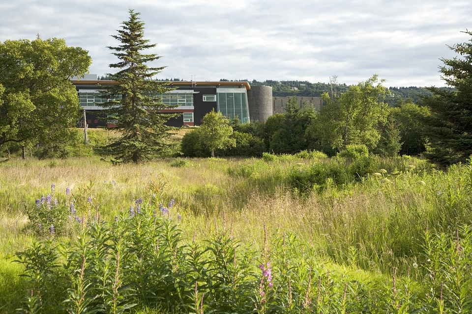 Alaska center habitat