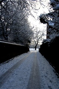 Snowy Newsham Park 1