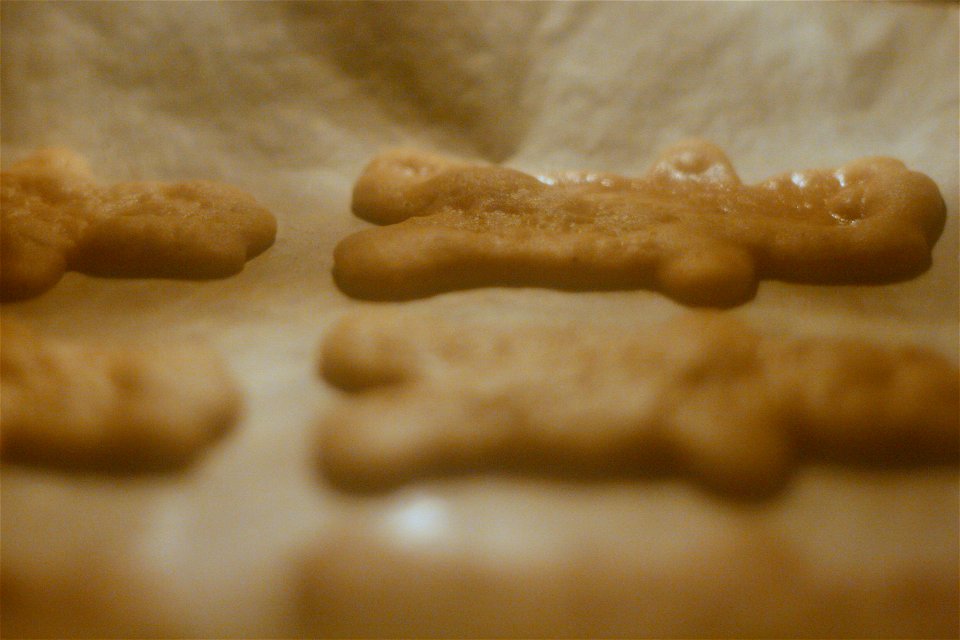 Project 365 #346: 121211 The Bear Essentials