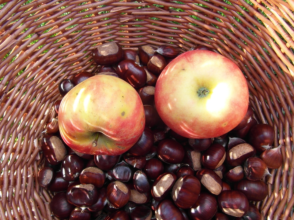 Fruits basket collect