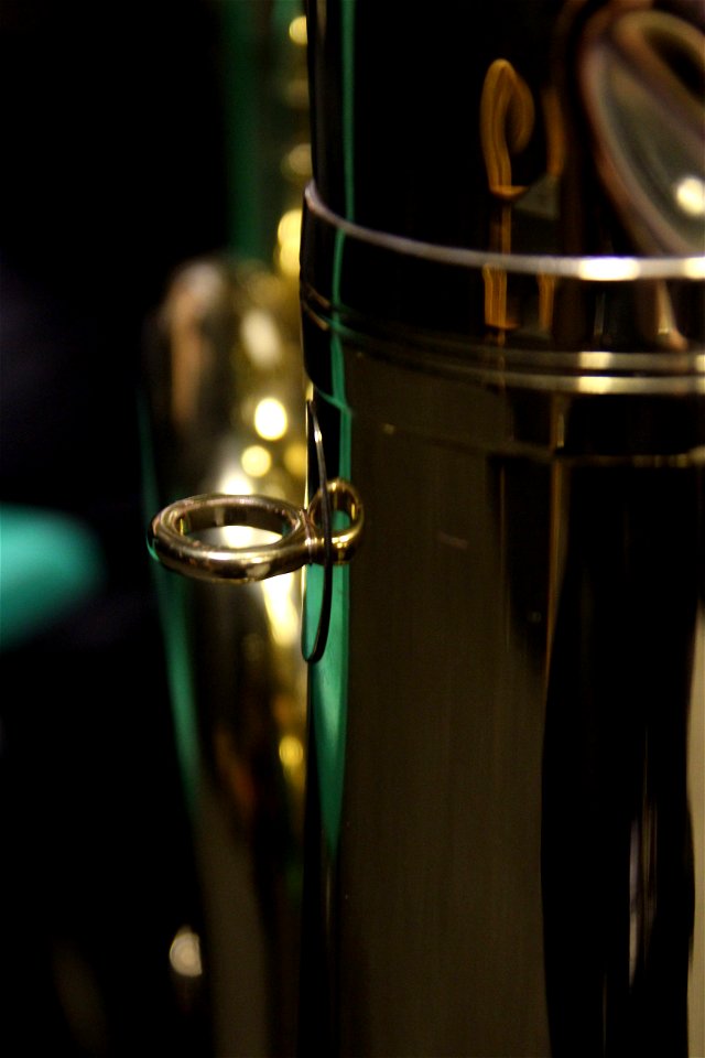 Project 365 #54: 230212 You've Got Some Brass!