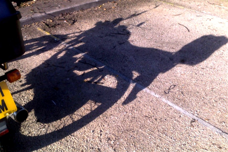 Project 365 #239: 270810 Shadow Of The Beast