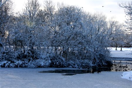 Snowy Newsham Park 14 photo