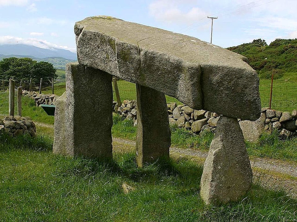 Dolman  