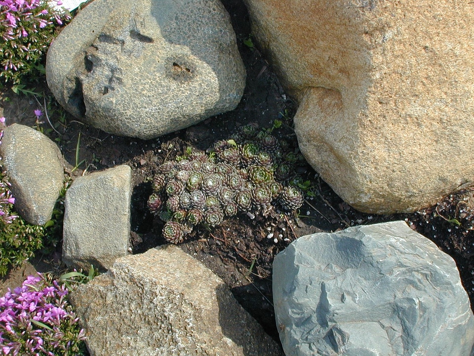 Background stones 