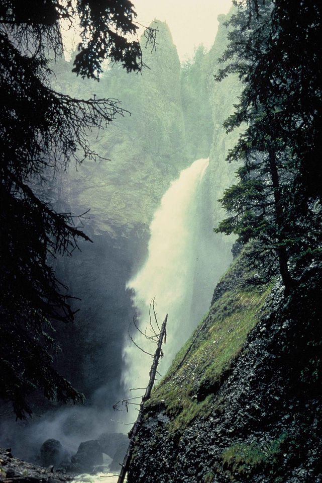 Scenic tower water
