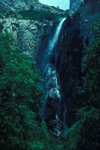 Domestic national park park