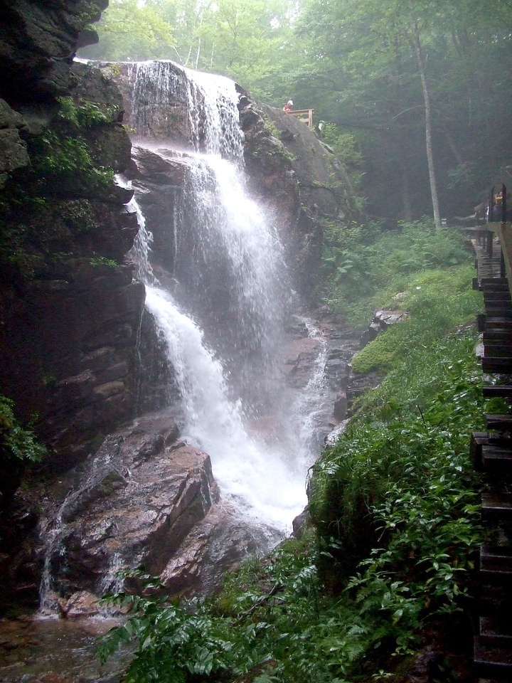 Cascade forest rocks