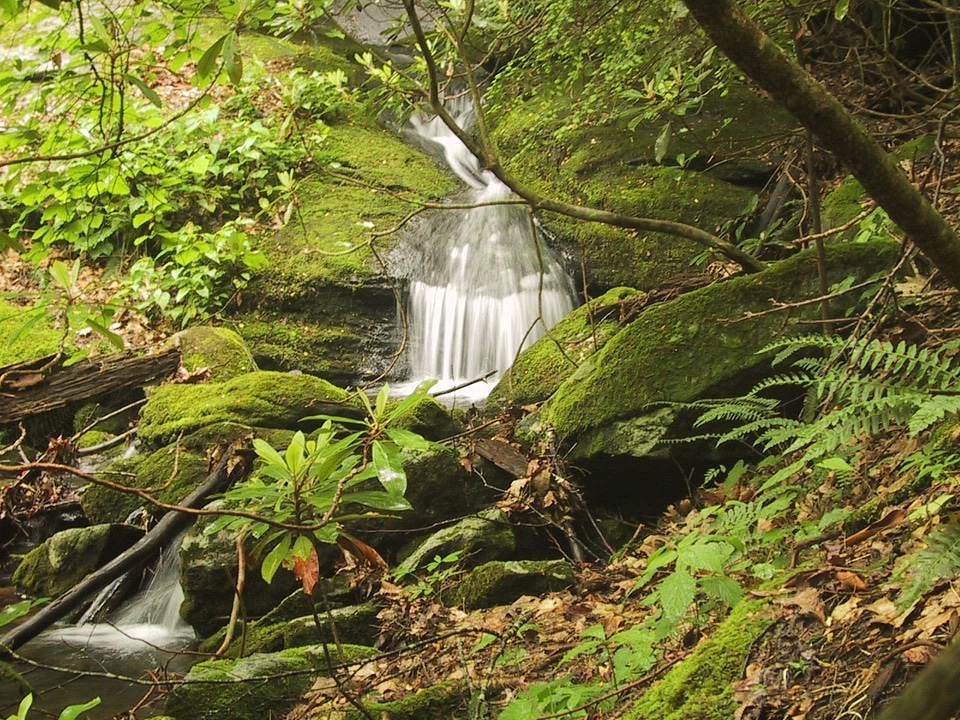 Arroyo canada cascade