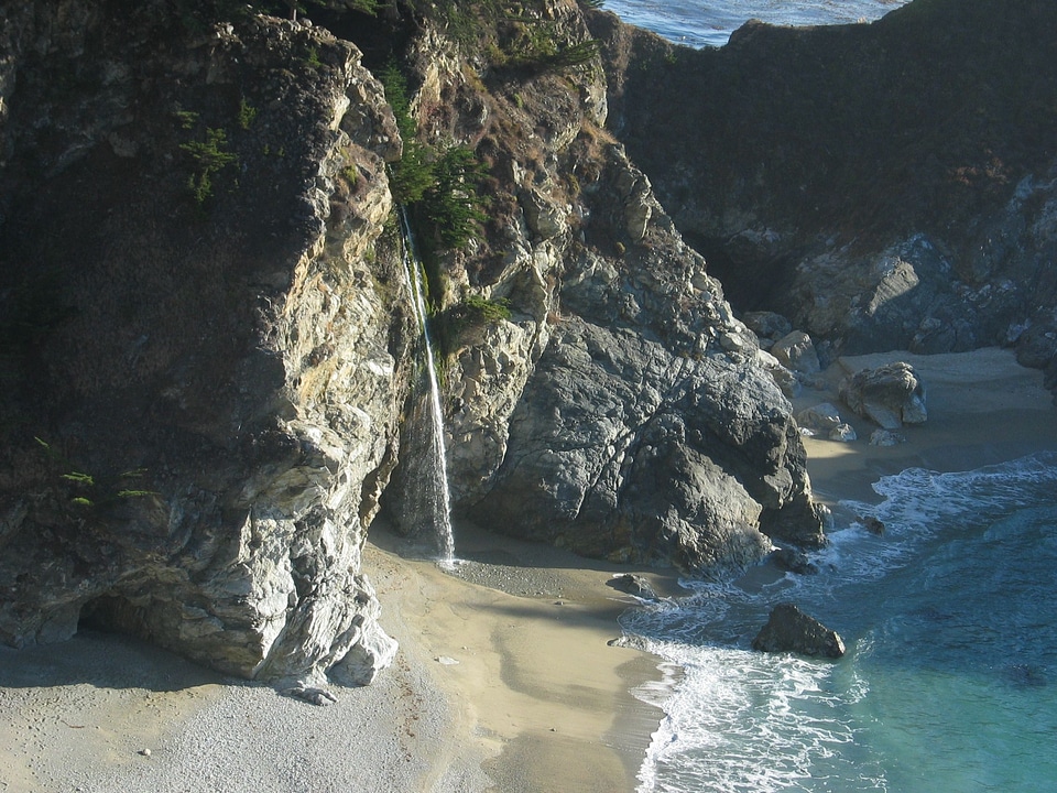 Cascade ocean phylum