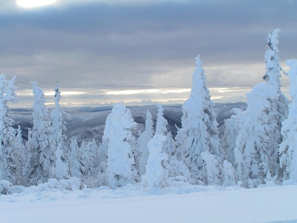 Snow  