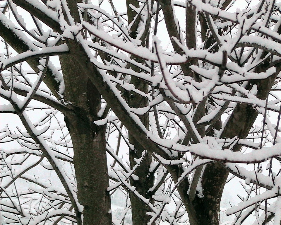 Snow  