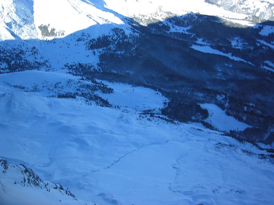Shade snow 
