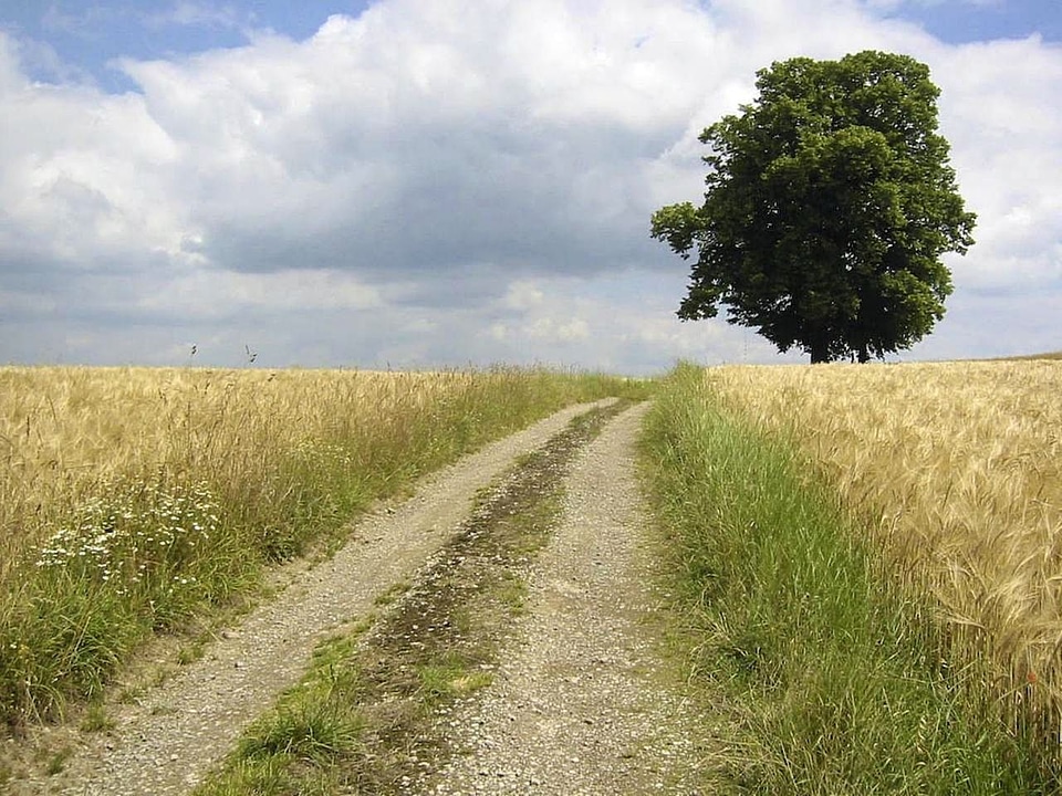 Road  