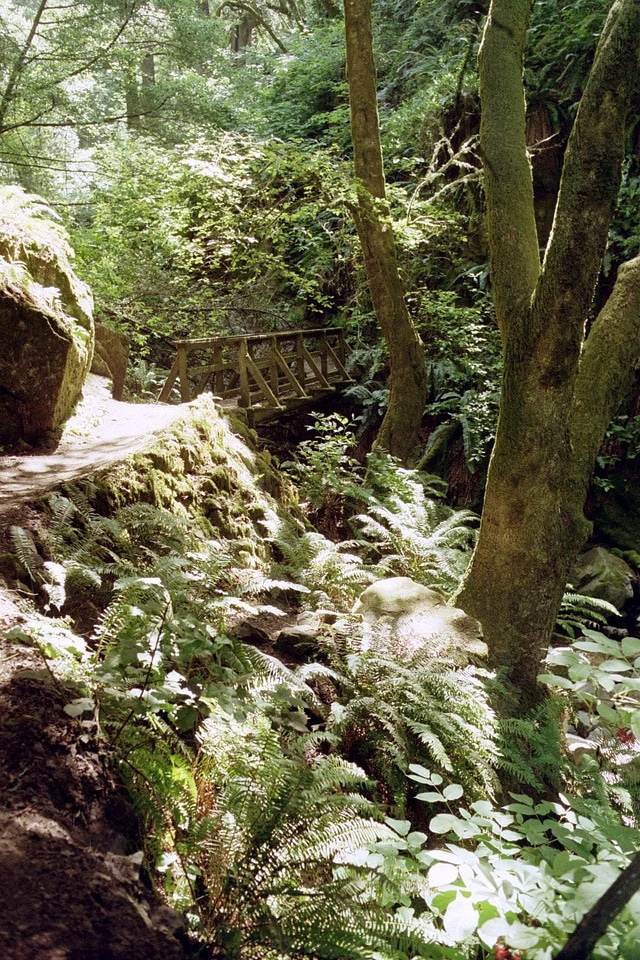 Canyon footpath steep