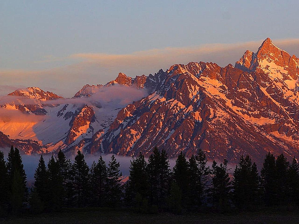 Colter dawn 