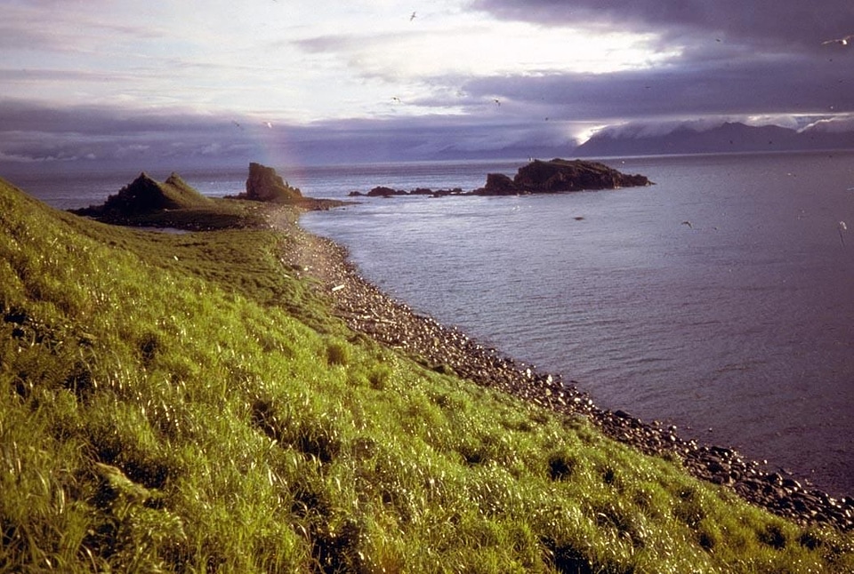 Island nature 