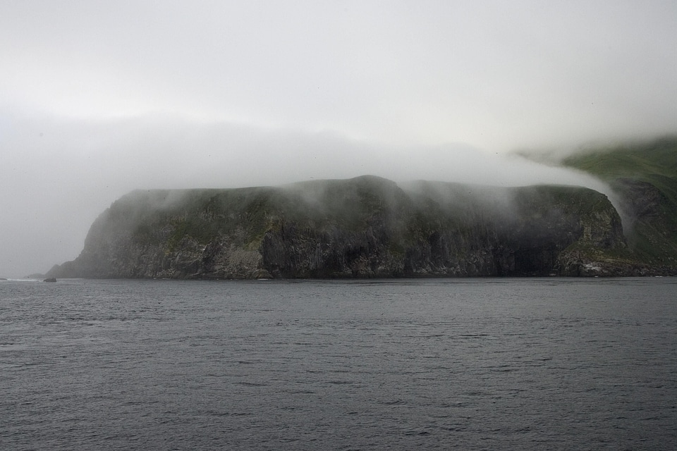 Alaska domestic island