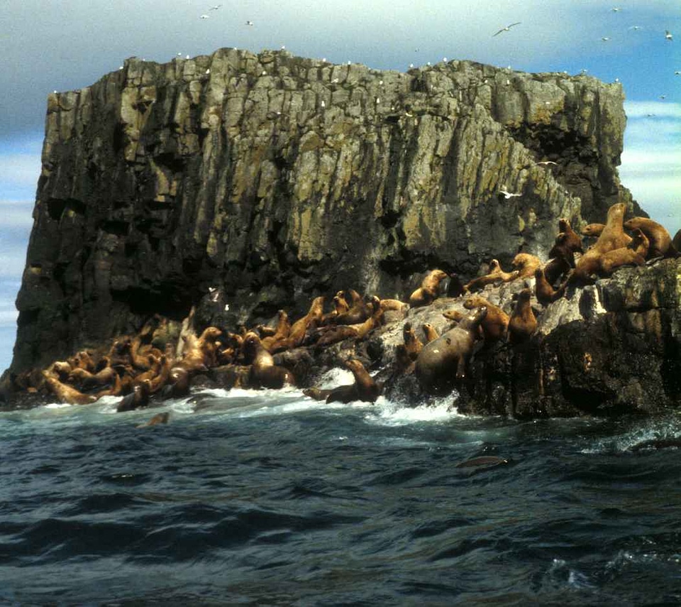 Alaska peninsula unit