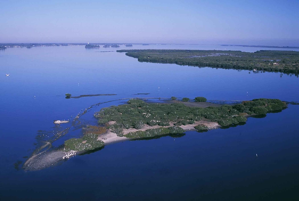 Domestic image island