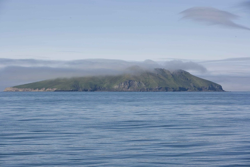 Alaska domestic island