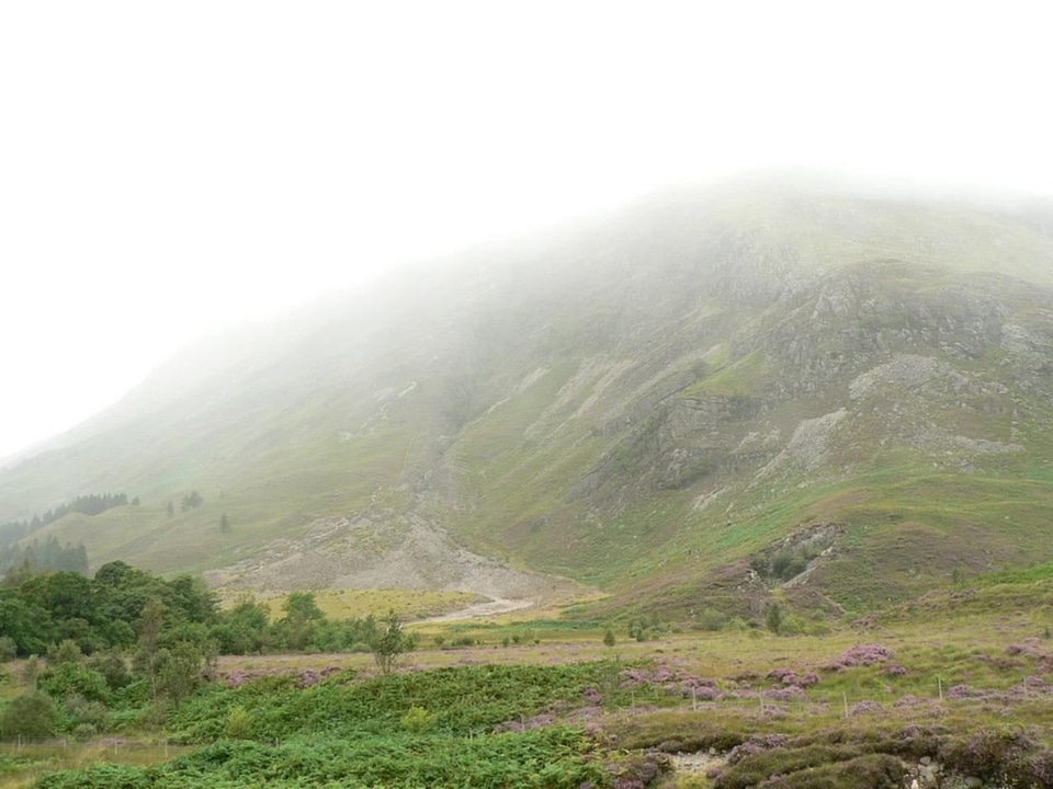 Bearing greenery hill